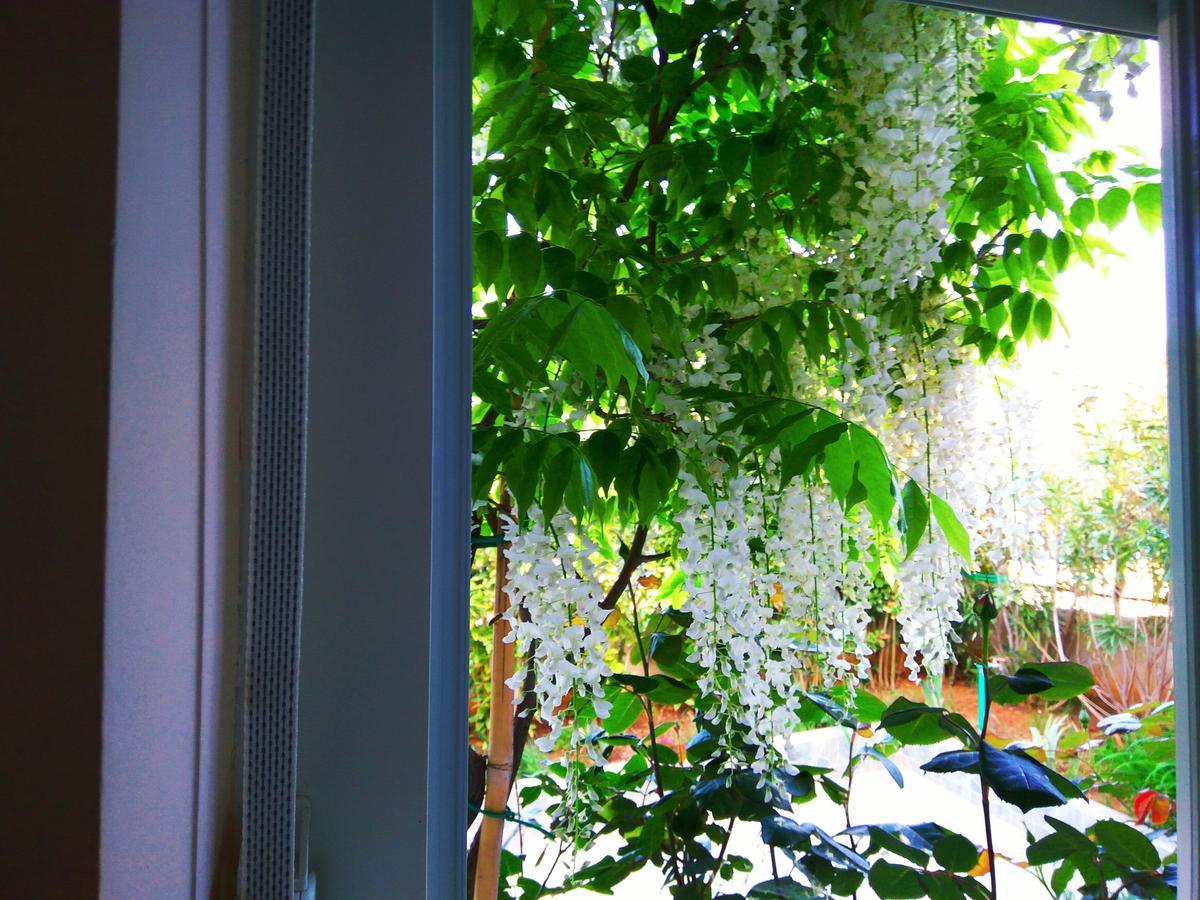 Aparthotel Viola Pjescana Uvala Bagian luar foto